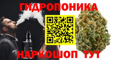 spice Рыбинск