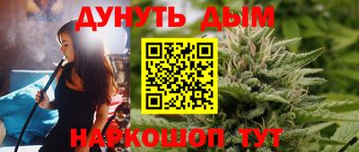 крисы Будённовск