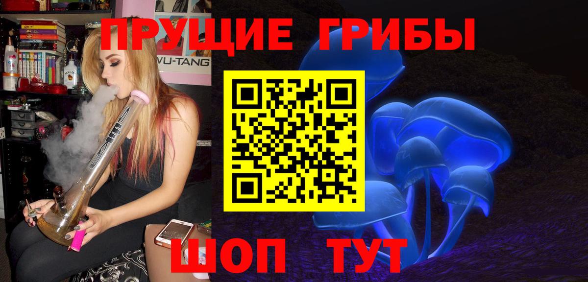 Орёл  Галлюциногенные грибы мицелий  Псилоцибиновые грибы прущие грибы  Вход с VPN 